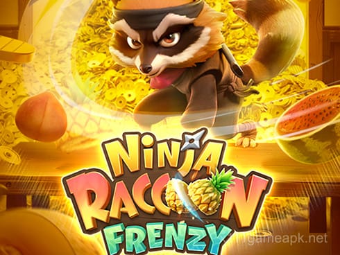 Ninja Raccoon Frenzy